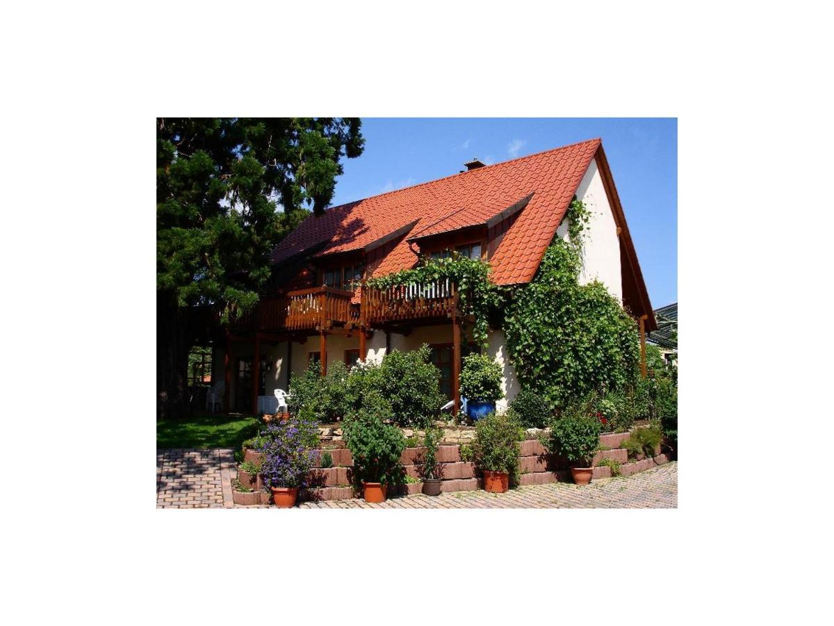 Gaestehaus Hellmer นอยชตัดท์ อัน แดร์ ไวน์ชตราเซอ ภายนอก รูปภาพ